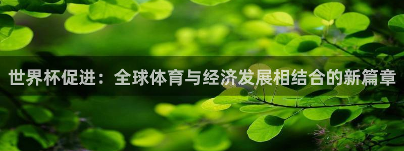 欧洲区世界杯预选赛：世界杯促进：全球体育与经济发展相结合的新篇章