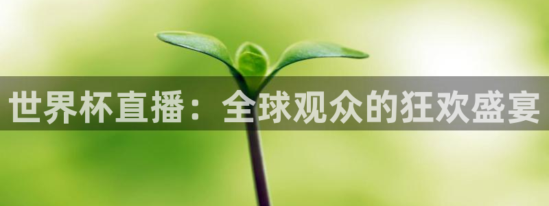 世预赛直播：世界杯直播：全球观众的狂欢盛宴