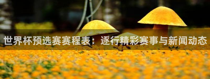 美洲杯直播：世界杯预选赛赛程表：逐行精彩赛事与新闻动态