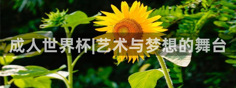 2026足球世界杯赛程：成人世界杯|艺术与梦想的舞台