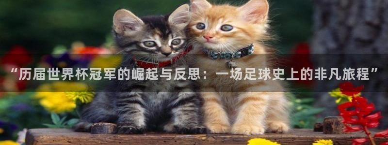 2026世预赛全部赛程：“历届世界杯冠军的崛起与反思：一场足球史上的非凡旅程”
