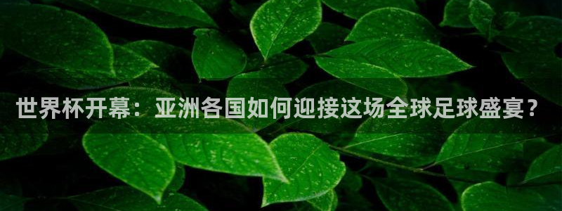 世界杯 赛程：世界杯开幕：亚洲各国如何迎接这场全球足球盛宴？