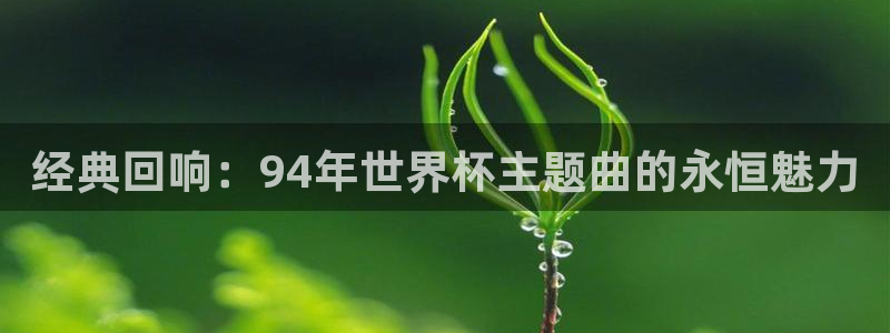 2026男足世界杯：经典回响：94年世界杯主题曲的永恒魅力