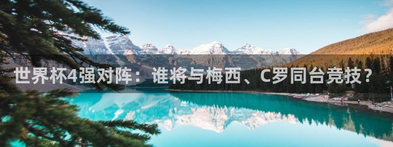 世界杯官网：世界杯4强对阵：谁将与梅西、C罗同台竞技？