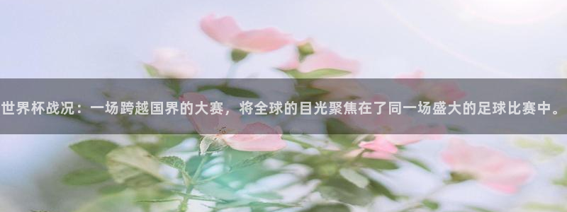 美洲杯直播：世界杯战况：一场跨越国界的大赛，将全球的目光聚焦在了同一场盛大的足球比赛中。