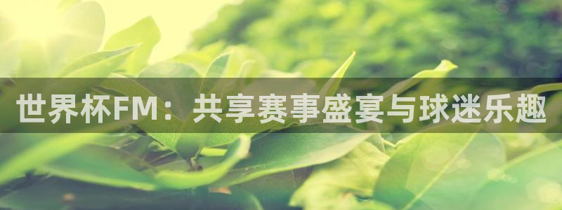 世界杯2026预选赛：世界杯FM：共享赛事盛宴与球迷乐趣