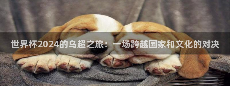 世界杯预选赛：世界杯2024的乌超之旅：一场跨越国家和文化的对决