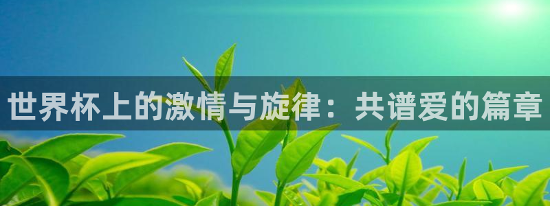 2026年世界杯赛程时间表格：世界杯上的激情与旋律：共谱爱的篇章