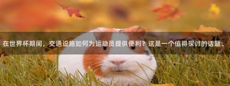 世界杯赛程时间表：在世界杯期间，交通设施如何为运动员提供便利？这是一个值得探讨的话题。