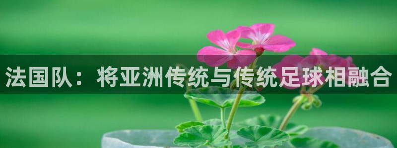 欧联杯直播：法国队：将亚洲传统与传统足球相融合