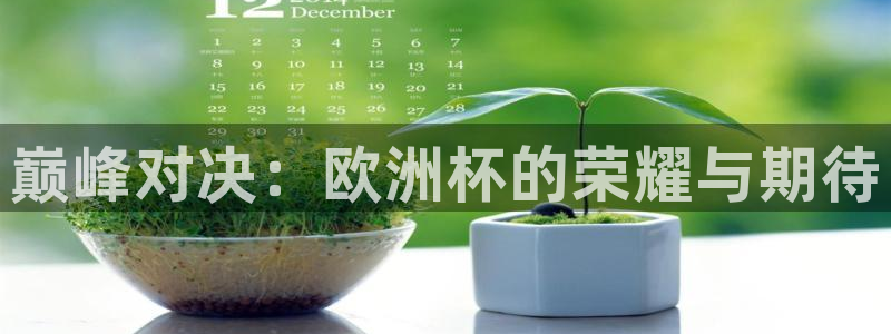 世界杯欧洲区世预赛赛程：巅峰对决：欧洲杯的荣耀与期待